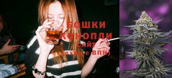 ешки Бронницы