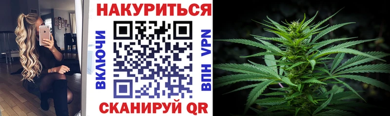 Шишки марихуана конопля  закладки  Городовиковск 